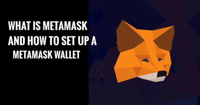 What is MetaMask and How to Set up a MetaMask Wallet