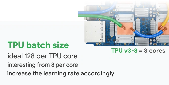 TPU Batch size