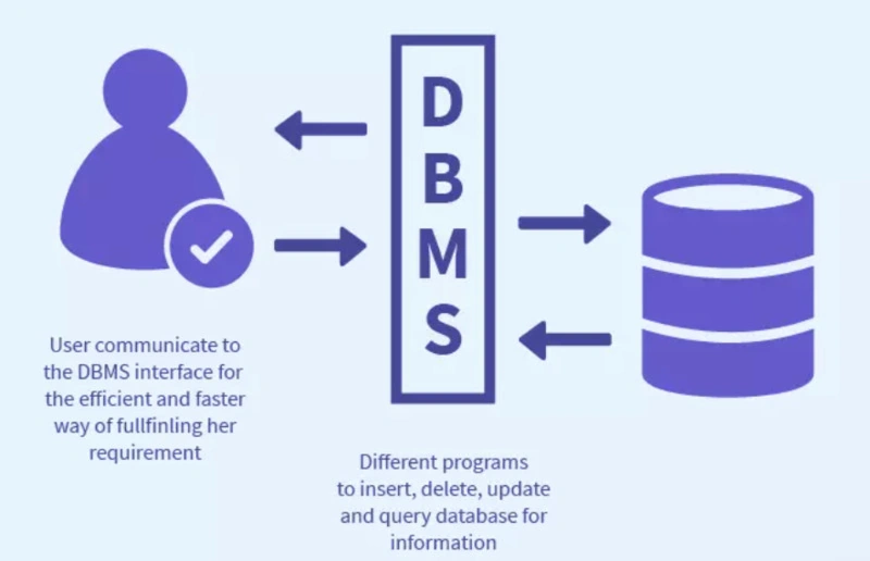 DBMS