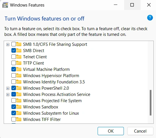 Window features