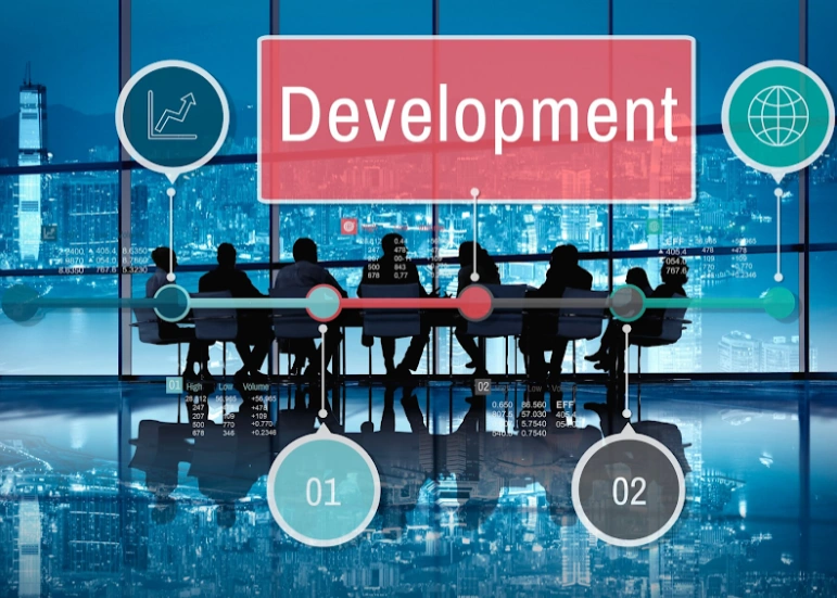 Software development
