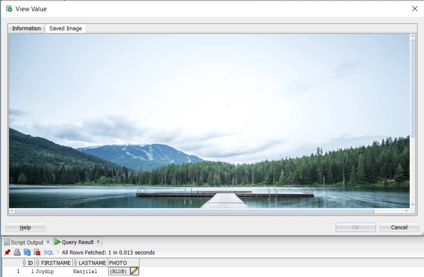 Working with LOB Data in Oracle