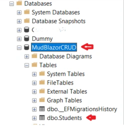 Working with MudBlazor UI Component In Blazor Using .Net 5