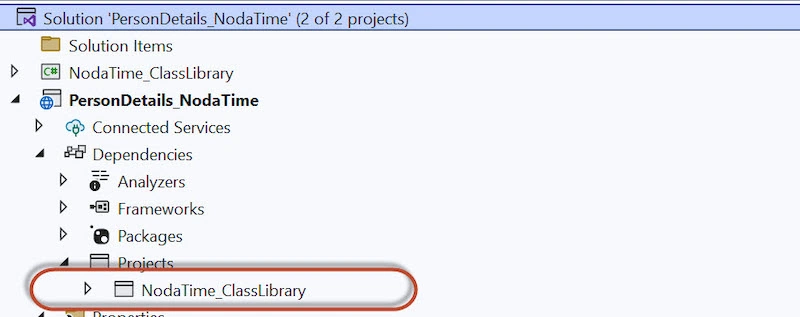 add project reference of NodaTime_classlibrary project to WebApi project.