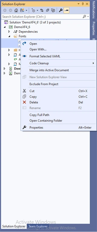 Xamarin Forms 4.6