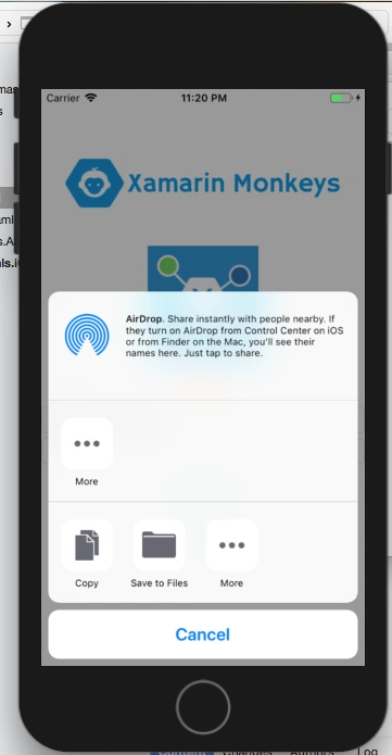 Xamarin.Forms - Share Data Using Xamarin Essentials