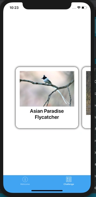 Xamarin.Forms - Working With CarouselView