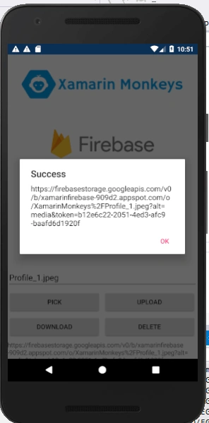 Xamarin.Forms - Working With Firebase Storage CRUD Operations