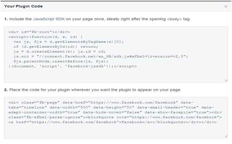 Copy Both code Snippet