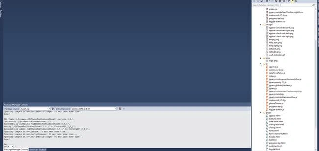 package manager console