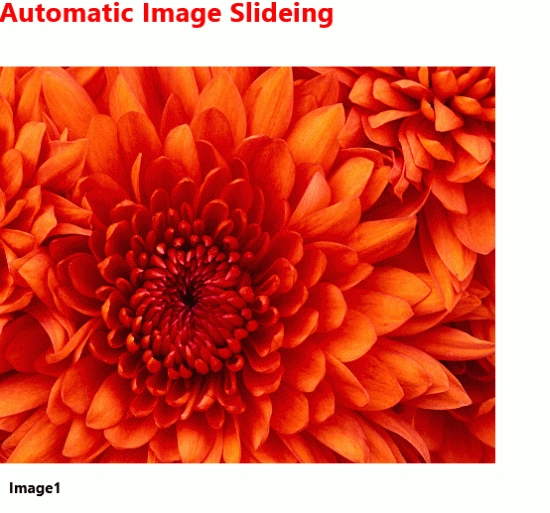 img3.gif