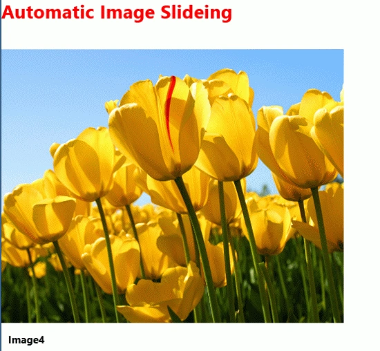 img4.gif