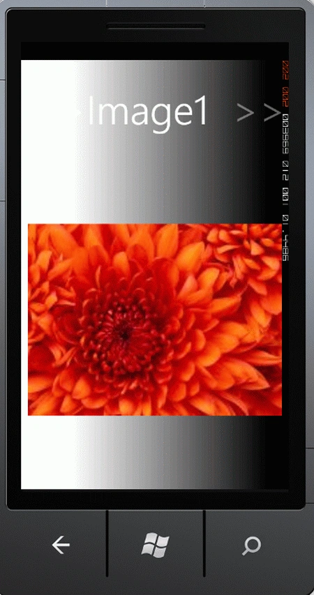 img4.gif