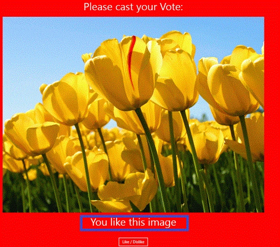 img4.gif