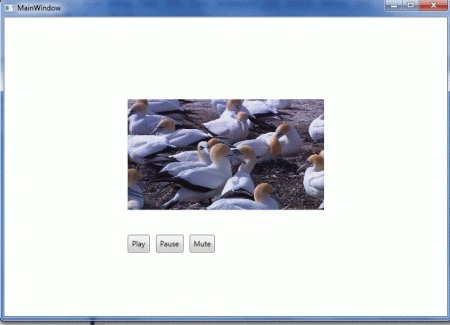wpf4.gif