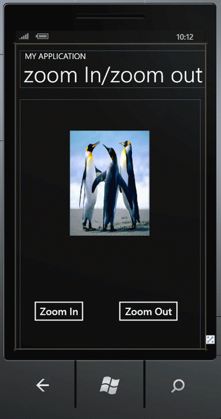 img1.gif