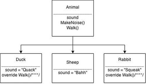 animal class