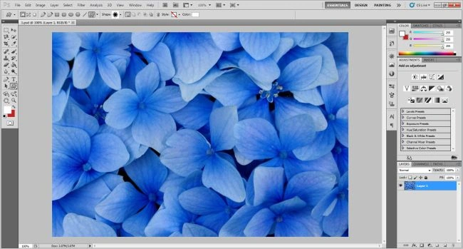 image-selection-in-photoshop-for-image-with-in-shapes.jpg