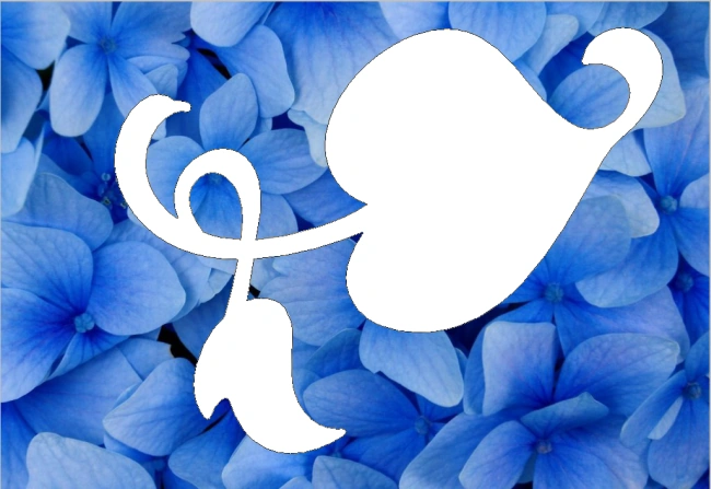 resize-and-reposition-image.png