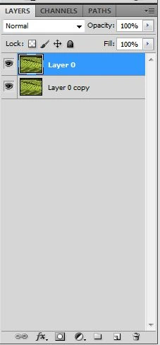 duplicate-layer-in-layer-palette-in-photoshop-for-image-with-in-text.jpg
