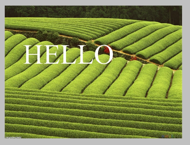 type-your-text-in-photoshop-for-image-with-in-text.png