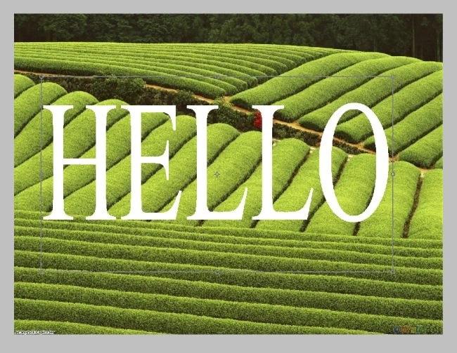 use-free-transform-command-for-resize-and-reposition-text-in-photoshop-for-image-with-in-text.jpg