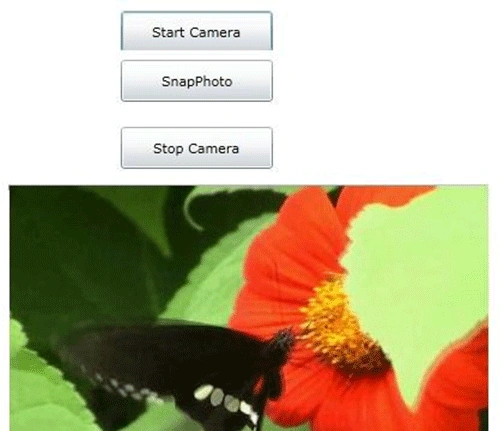 Video Devices in Silverlight