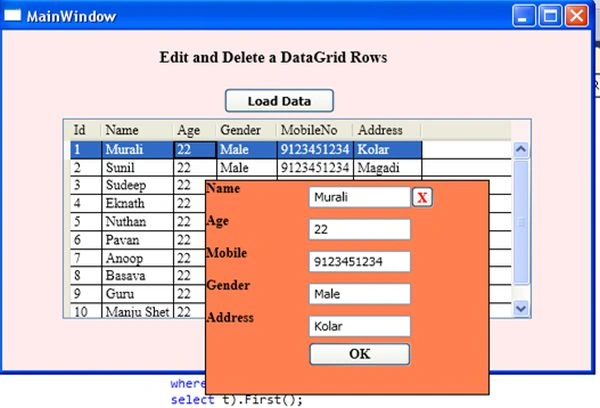 Edit-and-Delete-DataGridRow1