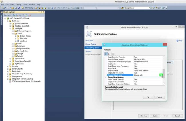 advance script option in sql