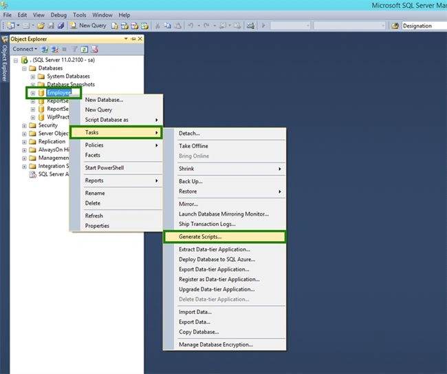 generate script
