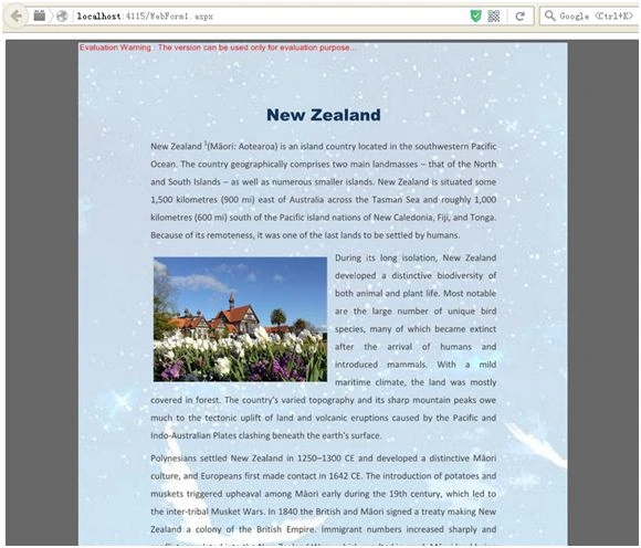 browser