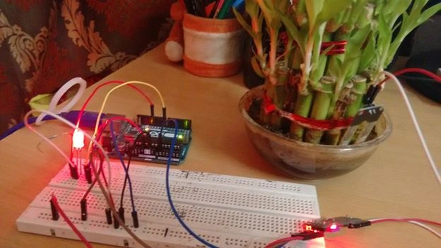 Open Serial Monitor