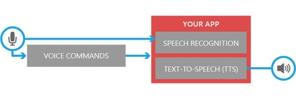 your app