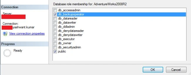 SQL database roles