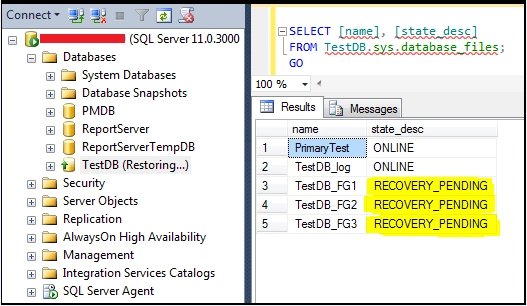 restoring PRIMARY filegroup