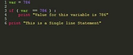Python-img-009.jpg