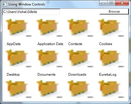 WPF2.jpg