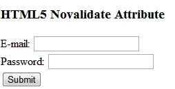 novalidate.jpg