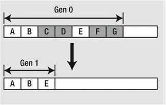 Classes, Objects, and References