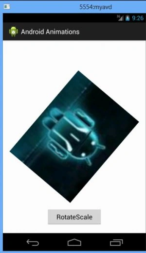 image.jpg