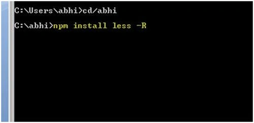 npm install
