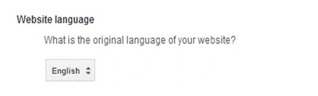 Website language