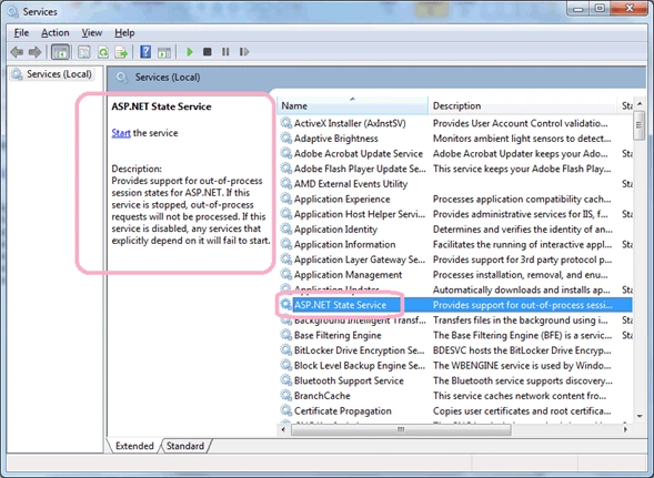 NT-Services4.gif