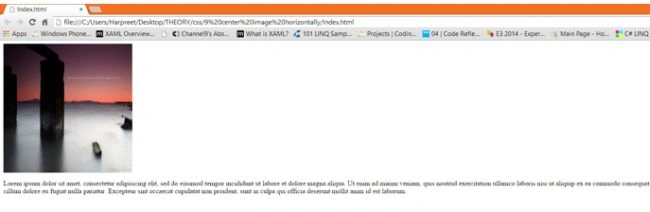 browser