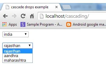 program output