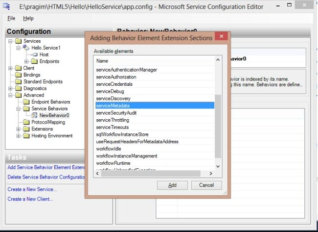service Metadata