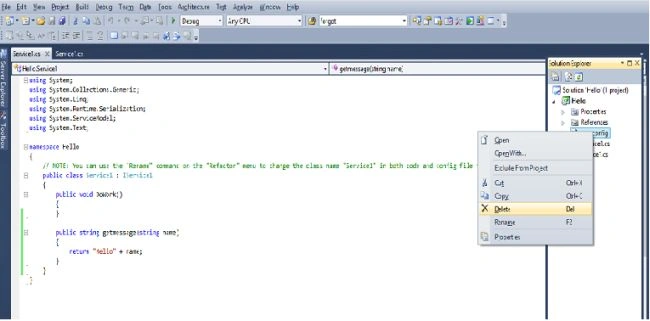 Solution Explorer