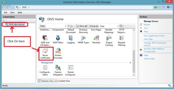 Server Certificates