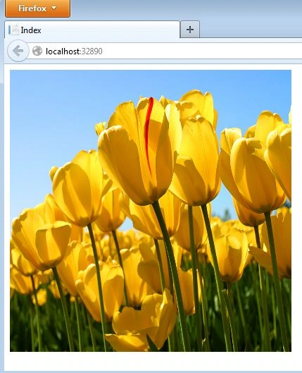 add6.jpg