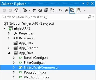 Display NinjectWebCommon class